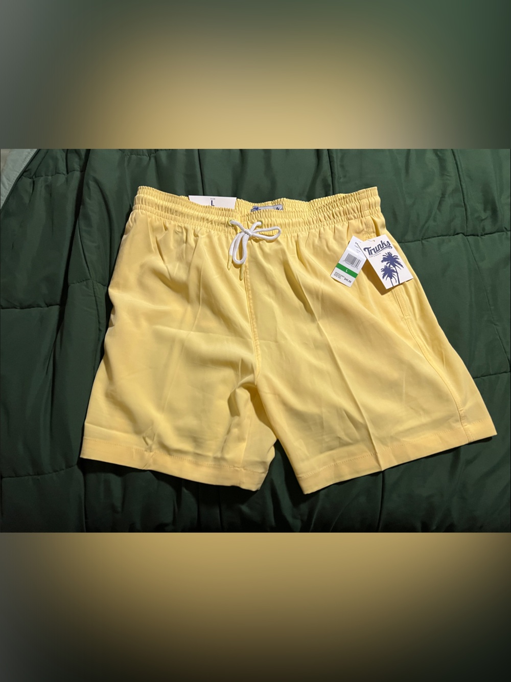 Trunks Surf & Swim Co. Sano 6.5" swim trunks